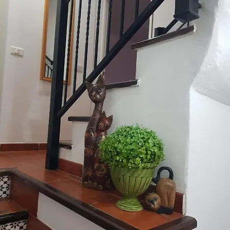 Jardin Botanico Appartement *